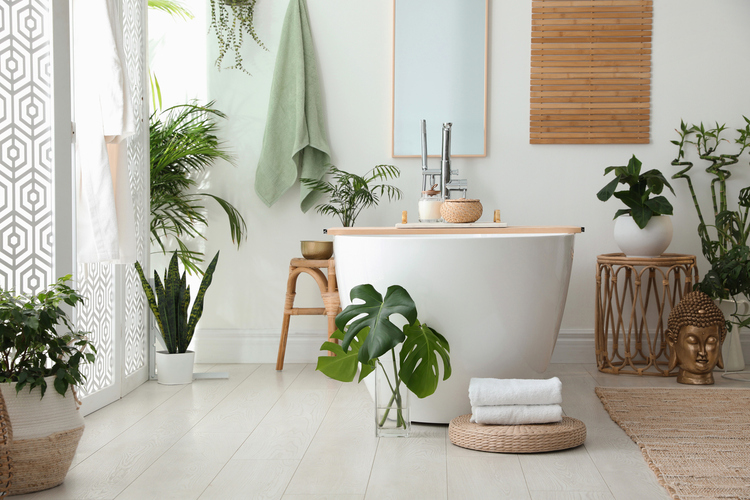 Udobno i opuštajuće kupatilo sa samostojećom kadom i zelenim biljkama